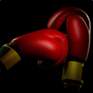 Boxing and martial arts gloves